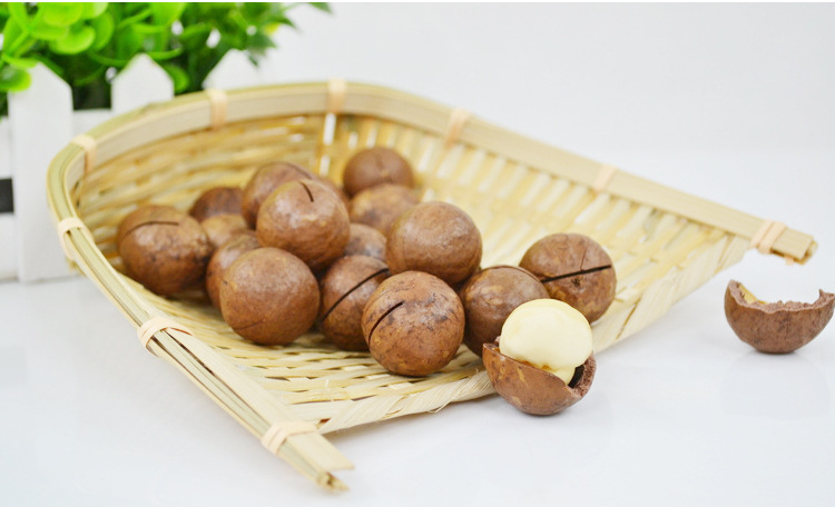 夏威夷果详情_02