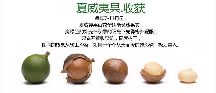 夏威夷果详情_04