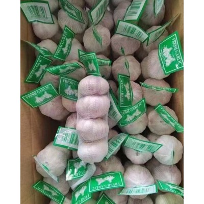 丰德利大蒜 天然有机 新鲜干蒜 安全健康 滋鲜味浓