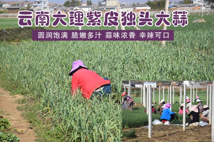 详情图01