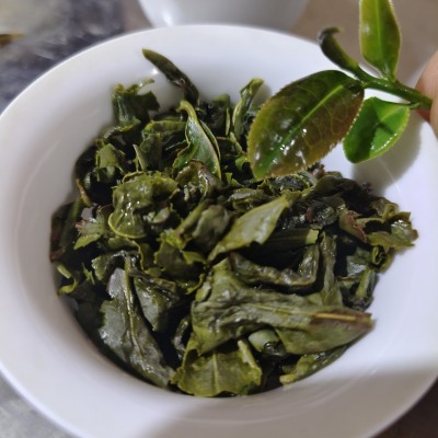 供应缘广茶业批发青茶铁观音安溪特产茶叶