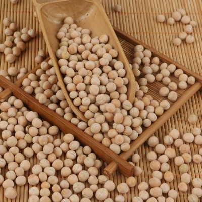 白豌豆白豌豆 五谷杂粮烘焙原料豌豆 豆类批发