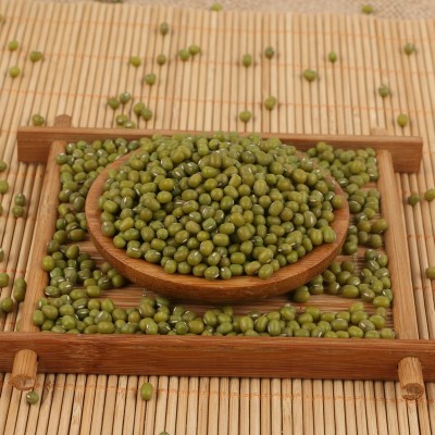批发绿豆原粮 东北粮食绿豆农家自产五谷杂粮 散装粗粮明绿豆