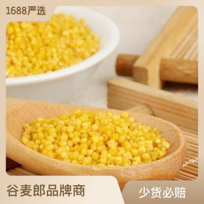沁州五谷杂粮黄小米新米 月子粮食小黄米农家小米500g