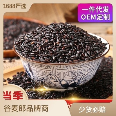 东北黑米 黑米500g 五谷杂粮放心粗粮黑大米黑杂粮