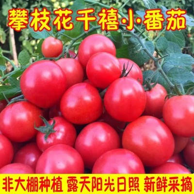 芜湖蔬菜水果配送销售,芜湖蔬菜水果配送价格,芜湖聚优农副产品