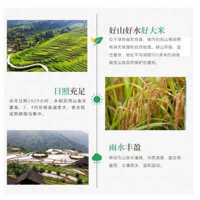 2022湖南高山梯田香米生态闭环古法种植营养健康 产地直供 5KG