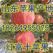 2QQ图片20160812112441_副本