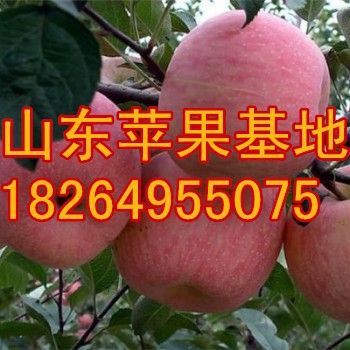 thumb_l_17-34-49-24-17558_png_