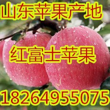 12eeb3a93f3cc71318ab6f145f6120