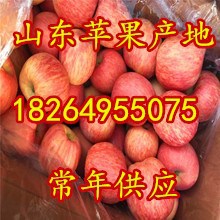 8766766493_1362063625_220<i></i>x220_