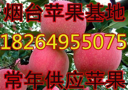 86u=2305028356,1390176835&