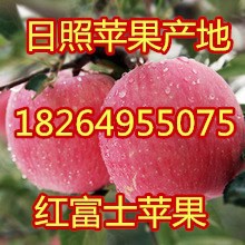 1112eeb3a93f3cc71318ab6f145f61