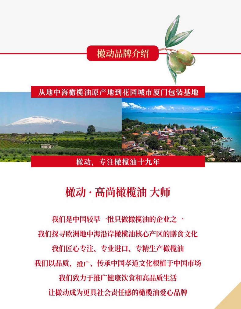 橄调-500_06.jpg