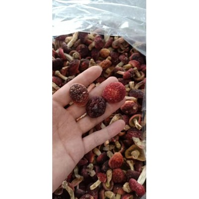 野生红菇厂家直供干货大红菌菇煲汤礼品标菇批发代发