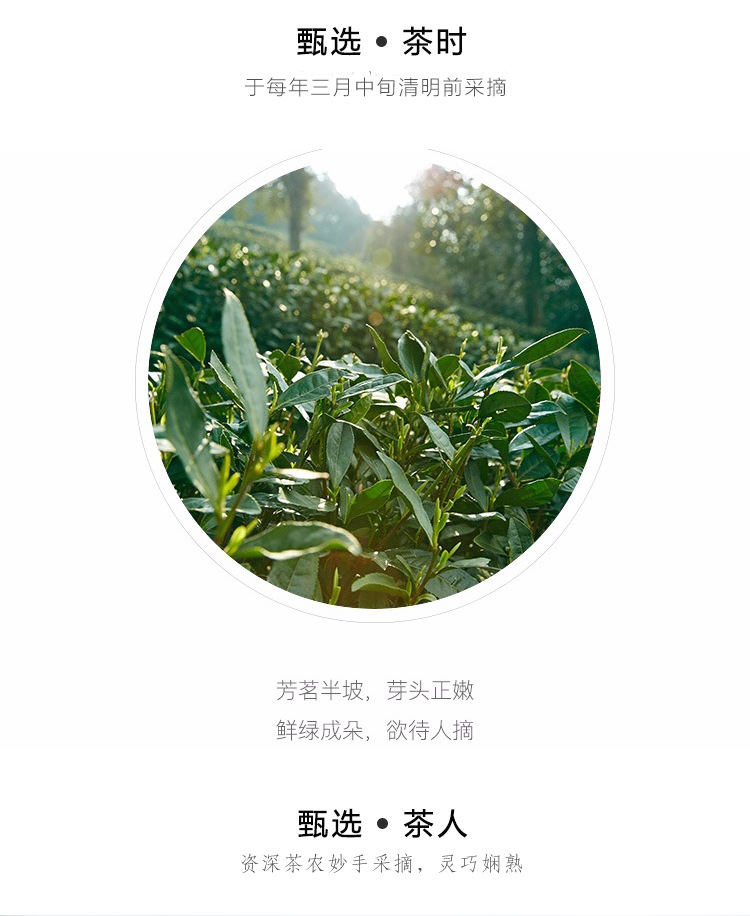雀舌铁盒详情页_08