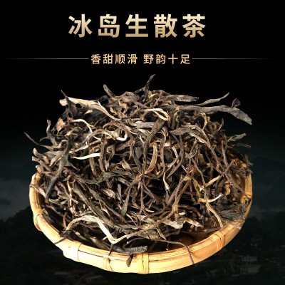 云南临沧冰岛 普洱茶 生茶 散茶 100g散装生普茶叶冰岛甜厂家直供