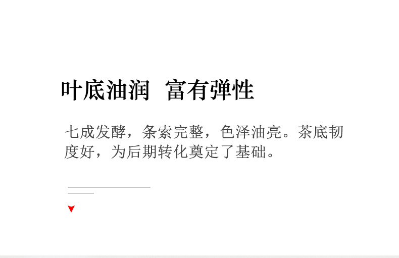熟龙珠_14