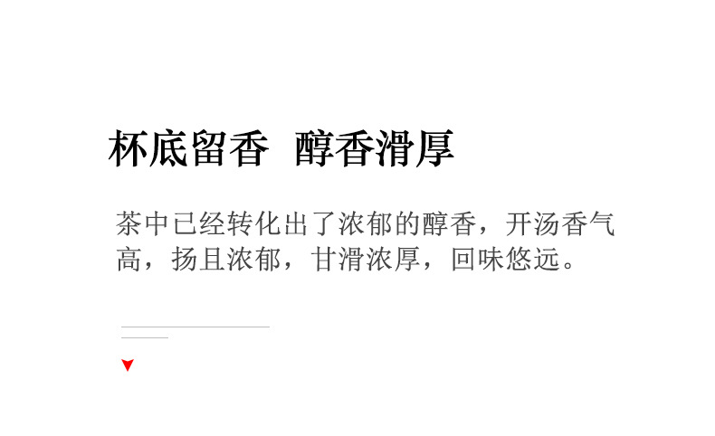 熟龙珠_10