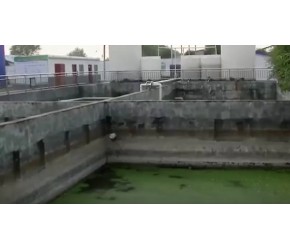 大哥创业与众不同，在菜地里面养猪，背后究竟有何玄机？