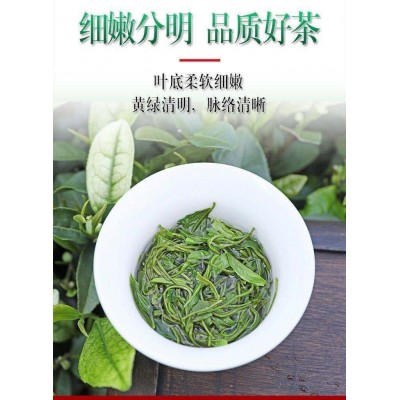 2023新茶绿茶批发高山云雾茶叶毛尖清香型浓香型耐泡散装袋装