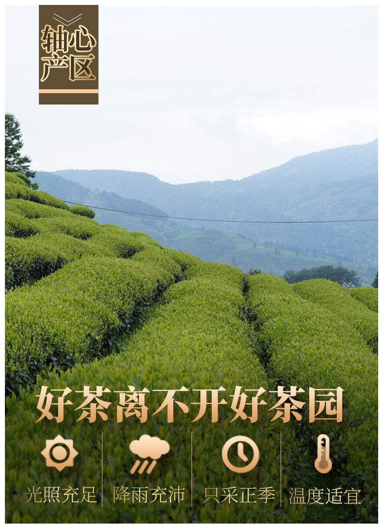 茶叶罐_12.jpg