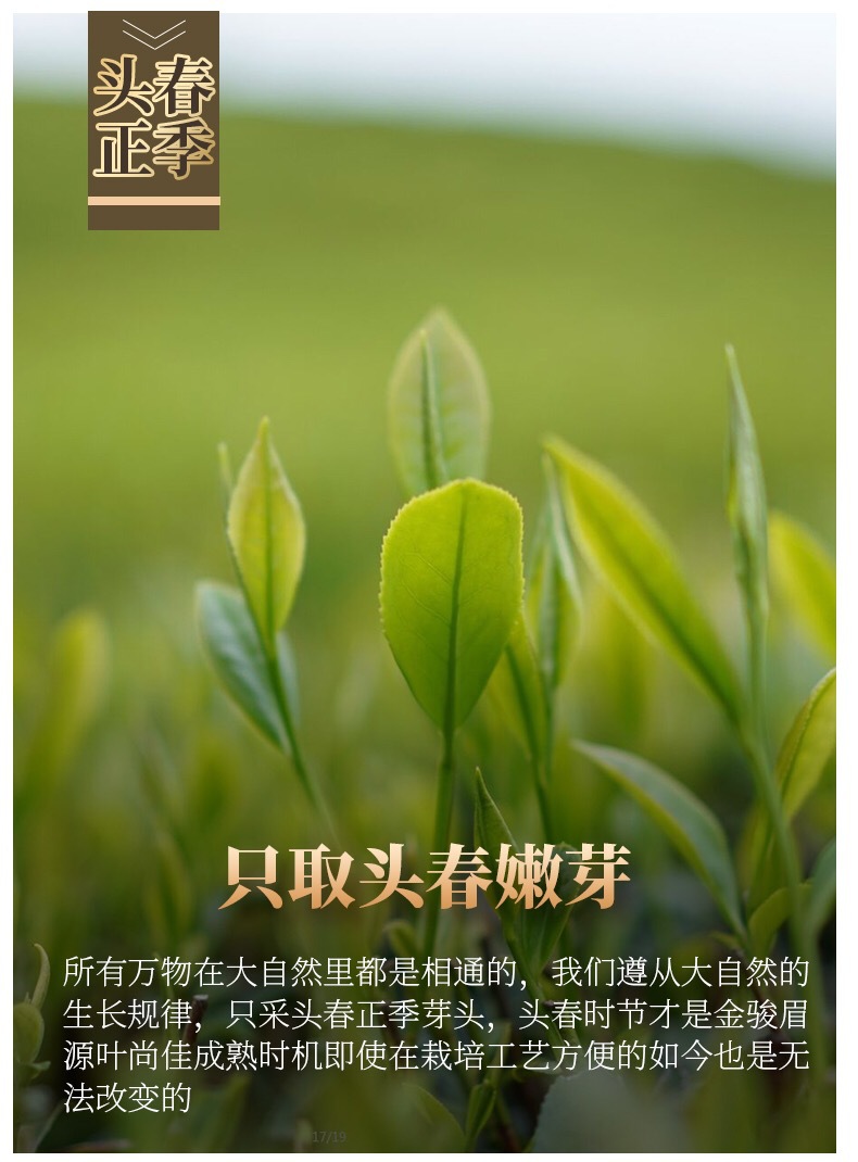 茶叶礼盒套装1_02.jpg