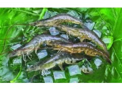护航“三农” 萧山为农户提供风险保障近50亿元