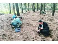 强省会·观区县｜小菌菇拓宽致富路！贵阳白云区发展绿色经济助力乡村振兴