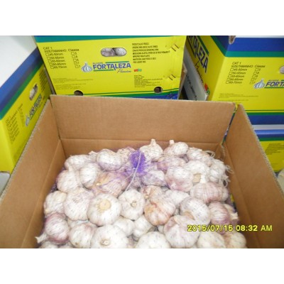 出口非洲各个规格保鲜普白蒜EXPORT TO AFRICA WHITE GARLIC