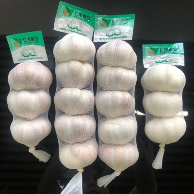 2021年鲜蒜5.5-6.0cm RED GARLIC EXPORTING GRADE A