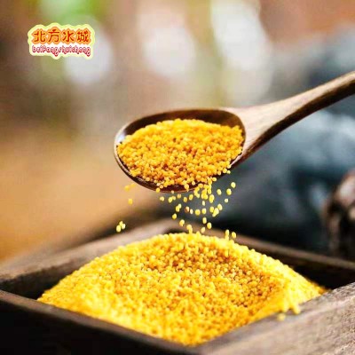 小米 沁州黄小米 沁县北方水城 2.5kg 五斤装月子 袋装