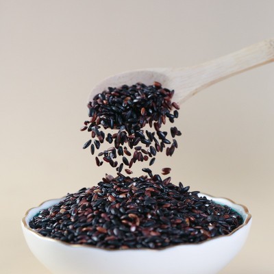 血糯米新米黑糯米农家自产紫米粥粗粮奶茶店杂粮黑米500g