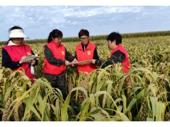 我爱哈尔滨之寻找城市声音︱农业技术推广人：冷玲