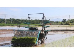 “科技范”十足！三亚这个智慧农场给农田装上了“数字大脑”