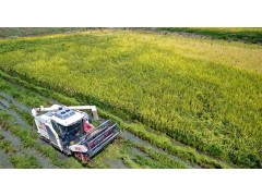 自贡市大安区以创建国家现代农业产业园为契机 推动优势特色产业转型升级