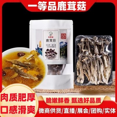 彤菌堂鹿茸菇代发云南特产北风菌煲汤爆炒源头厂家脆脆菇伴手礼