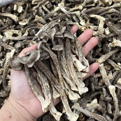 鹿茸菌干货500g鹿茸菇菌菇农副产品食用菌干批发一件代发