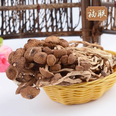 2古田茶树菇 产地量大批发 南北干货 食用菌 不开伞茶树菇 250克