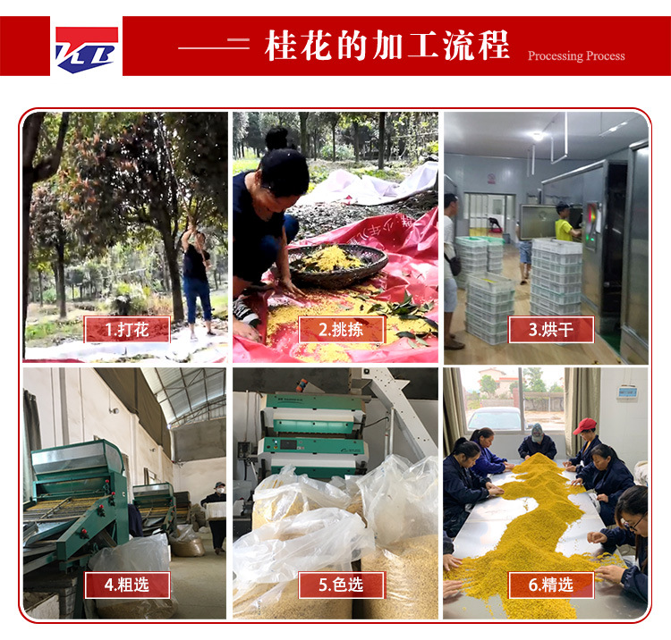 工序.jpg