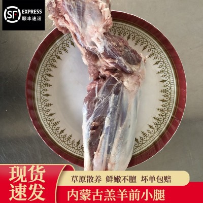 内蒙古羊腿2斤羊小腿锡盟新鲜烤羊腿腱子肉生鲜冷冻羊肉熬汤汁