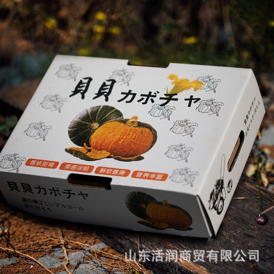 批发正宗贝贝南瓜礼盒装5斤 板栗味南瓜 迷你贝贝小南瓜
