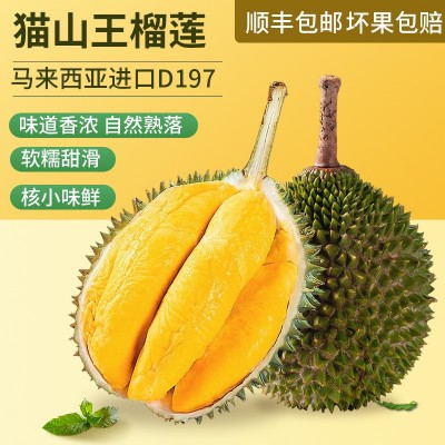 猫山王榴莲D197液氮冷冻榴莲批发马来西亚进口正宗水果顺丰包邮