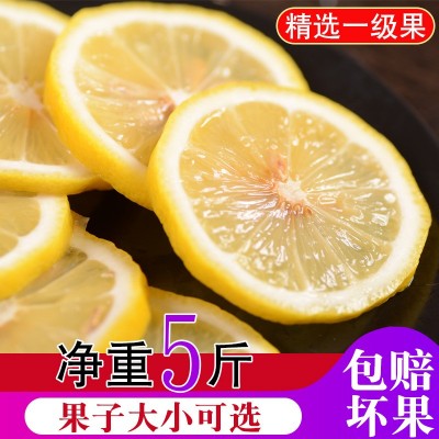 四川安岳一二级新鲜尤力克黄柠檬皮薄多汁水果5斤装批发一件代发