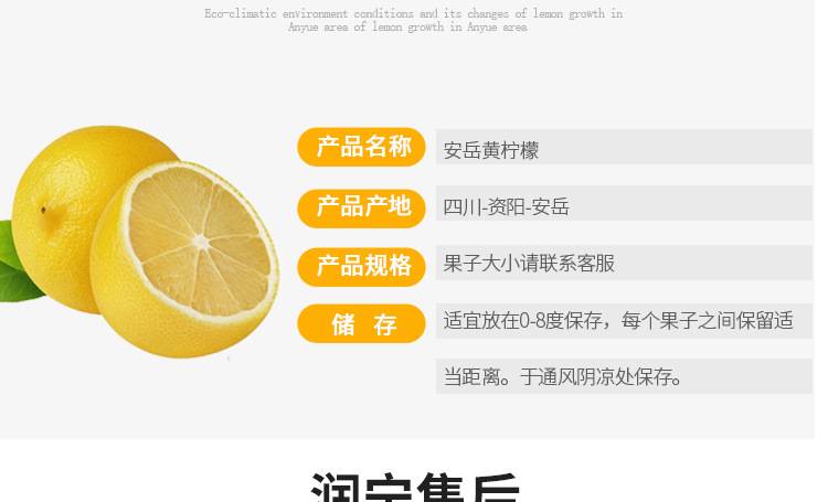 柠檬详情_18.jpg