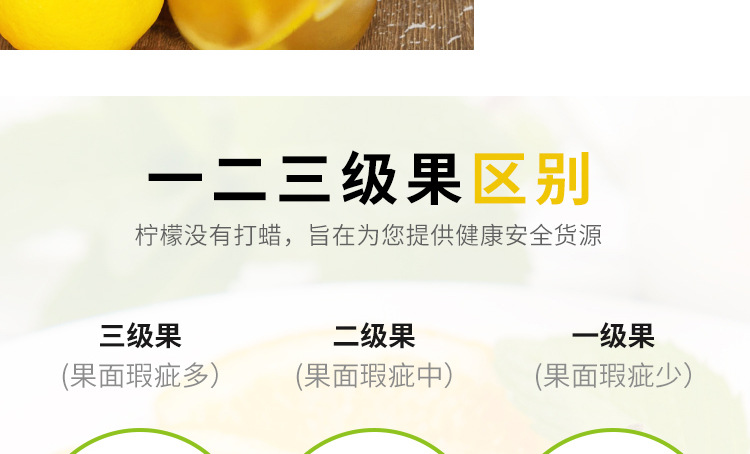 柠檬详情_15.jpg