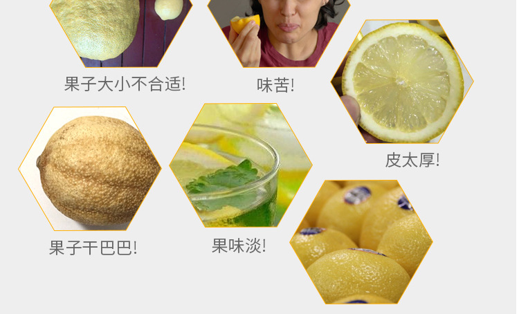 柠檬详情_04