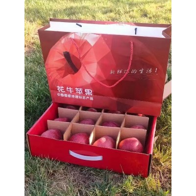 长期供应甘肃天水花牛苹果 代发3斤9斤新鲜应季水果甜糯红蛇果