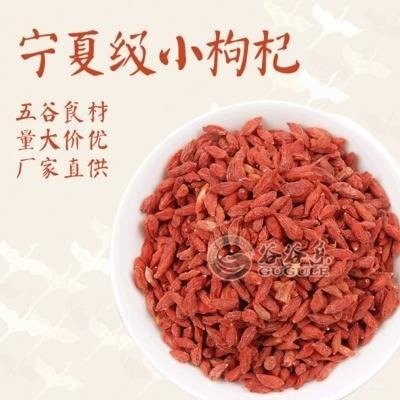 红枸杞小颗粒 谷谷乐 供应新货 免洗不染色 泡茶磨房原料