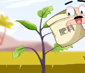茄子为什么要打侧枝？